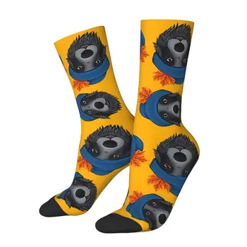 Счастливый носок для мужчин, осенняя иллюстрация, Винтажная домашняя собака Бордер-Колли, качественный носок с рисунком, Бесшовный подарок
