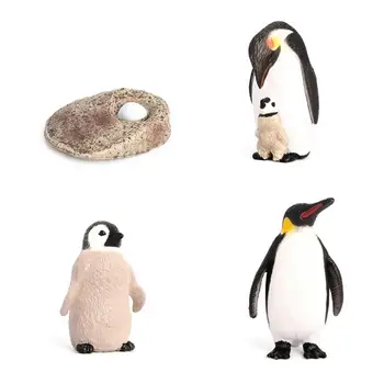 1 комплект Модели Пингвина Реалистичный цикл раннего обучения Модель фигурки Пингвина Развивающая игрушка для детей Подарок на День рождения