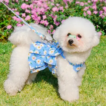 Комплект шлейки и поводка для домашних собак, дышащие Модные аксессуары для девочек-собак, стильное платье из сверхмягкой сетчатой ткани для маленьких собак и кошек